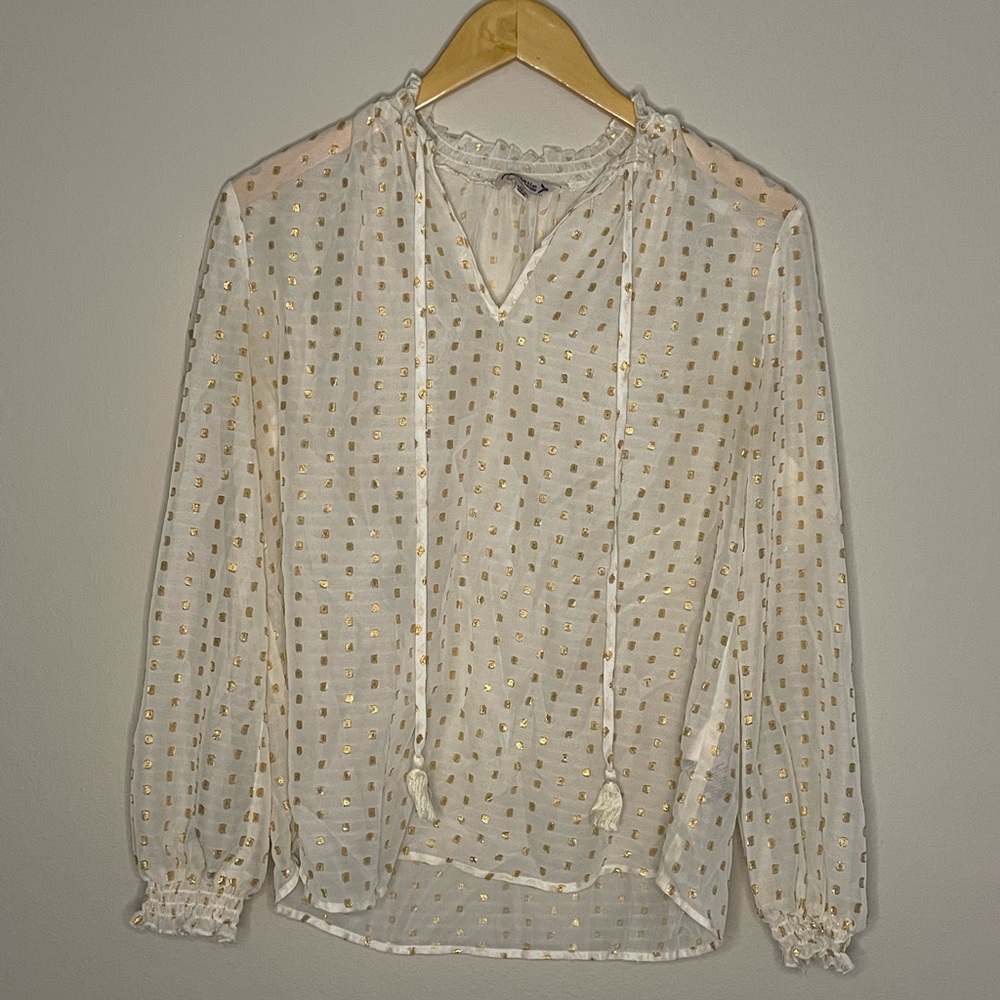 Sheer blouse with shimmer dots